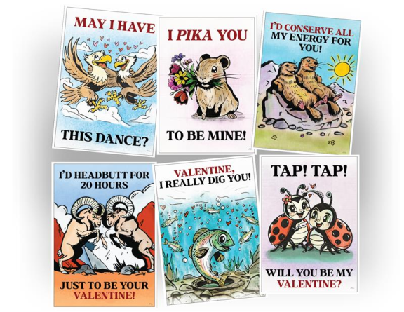 Six Valentine's card designs from Pikes Peak - America's Mountain. They read, from left to right, top to bottom, "May I have this dance?," "I pika you to be mine?," "I'd conserve my energy for you!," "I'd headbutt for 20 hours just to be your Valentine!," "Valentine, I really dig you!," and "Tap! Tap! Will you be my Valentine?"