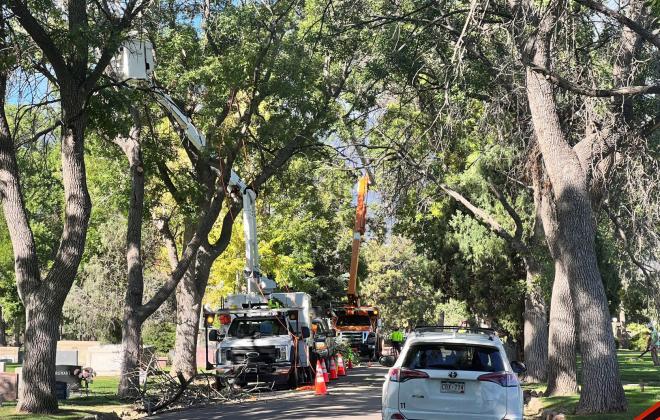 Cars line a road inside of Evergreen Cemetery as workers work to remove branches from the trees that line the road.